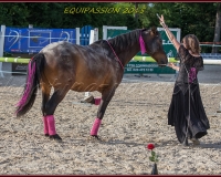 2-13JUIN 0153